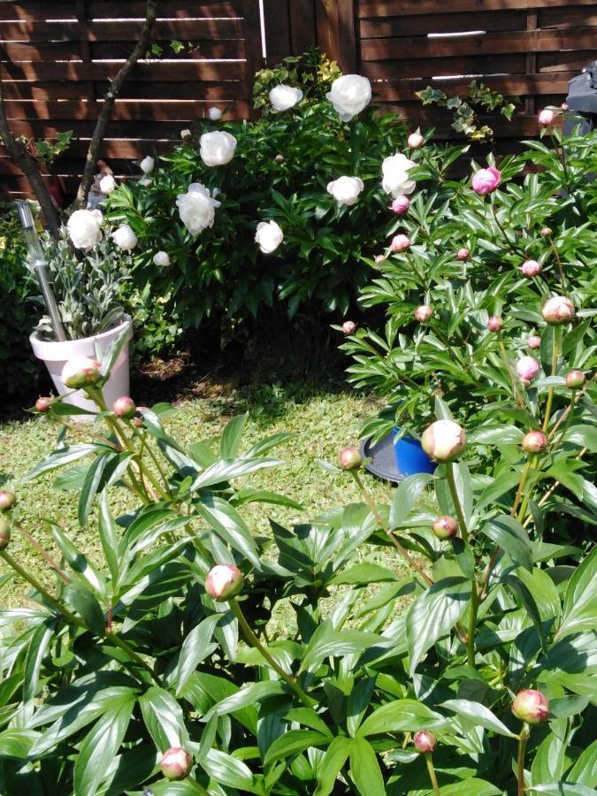 Ferienwohnung Mit Kleinem Garten Sonnenbühl Екстериор снимка