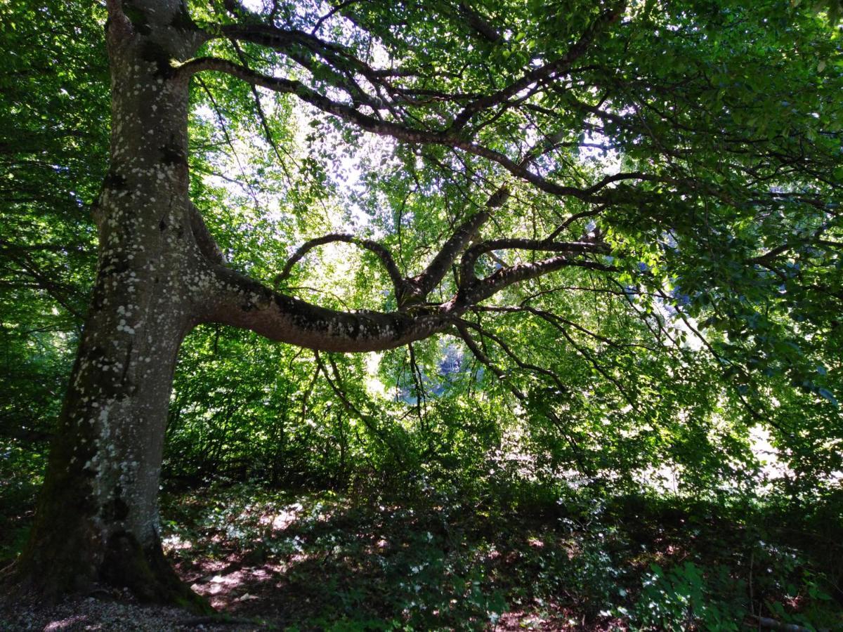 Ferienwohnung Mit Kleinem Garten Sonnenbühl Екстериор снимка